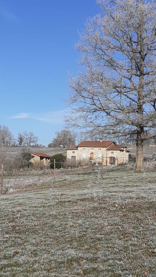 Légny Domaine De La Poyat Bed & Breakfast エクステリア 写真