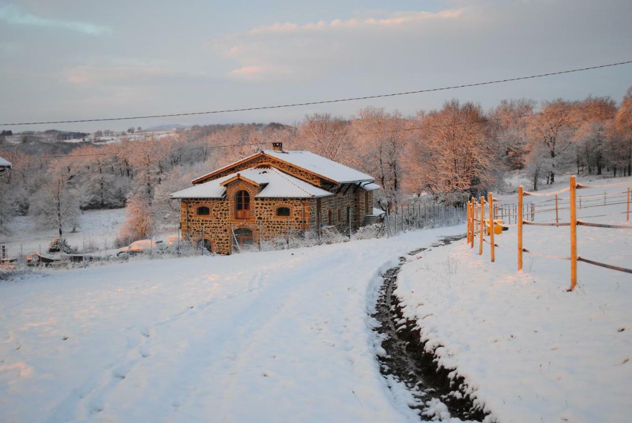 Légny Domaine De La Poyat Bed & Breakfast エクステリア 写真