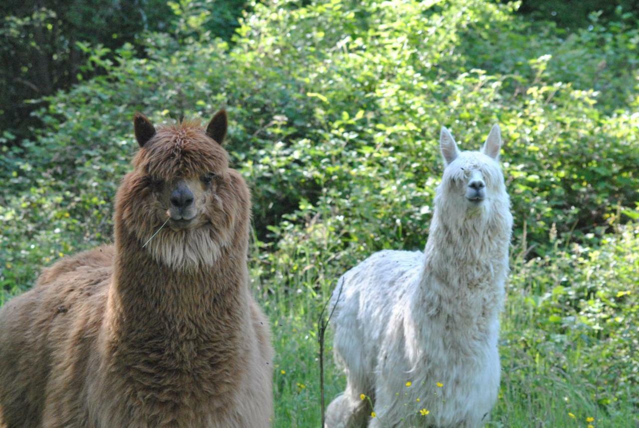 Légny Domaine De La Poyat Bed & Breakfast エクステリア 写真